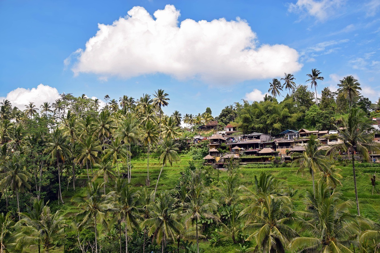 the-ultimate-bali-itinerary-how-to-plan-the-perfect-trip-to-bali-40 The Ultimate Bali Itinerary: How to Plan the Perfect Trip to Bali