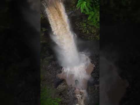 Pandavkada Waterfall | Maharashtra
